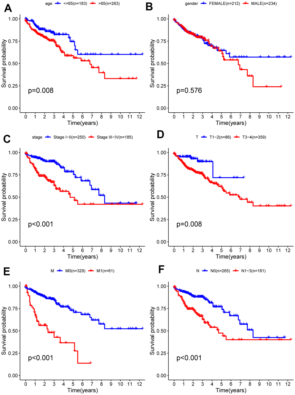 Kaplan-Meier survival analysis of clinical features and survival rate. Clinical features included (A) age, (B) gender, (C) stage (D) T, (E) M, (F) N.