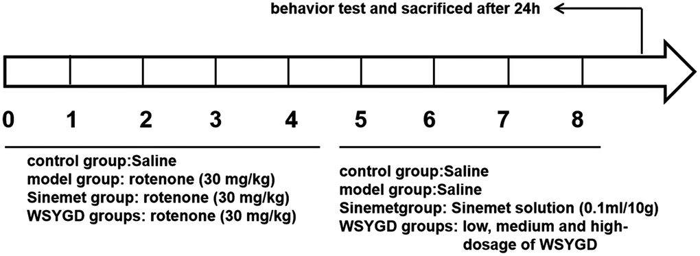 Schematic representation of experiment.