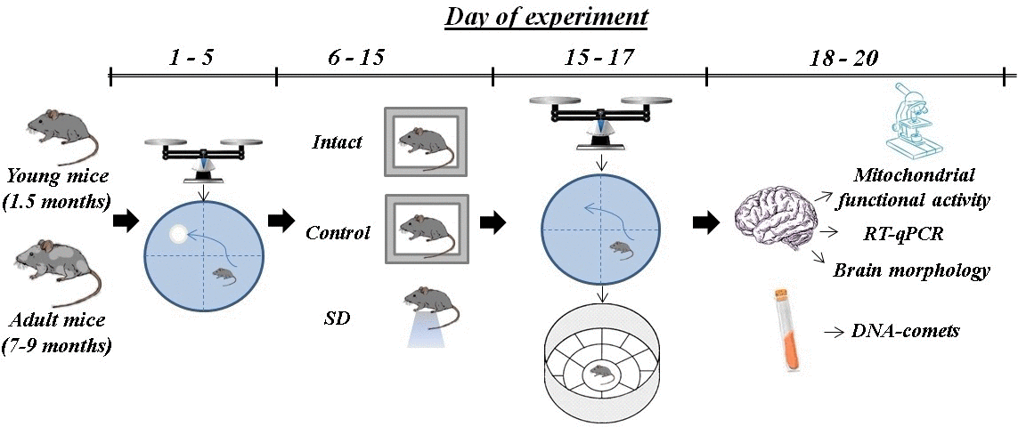 class="figure-viewer-img"