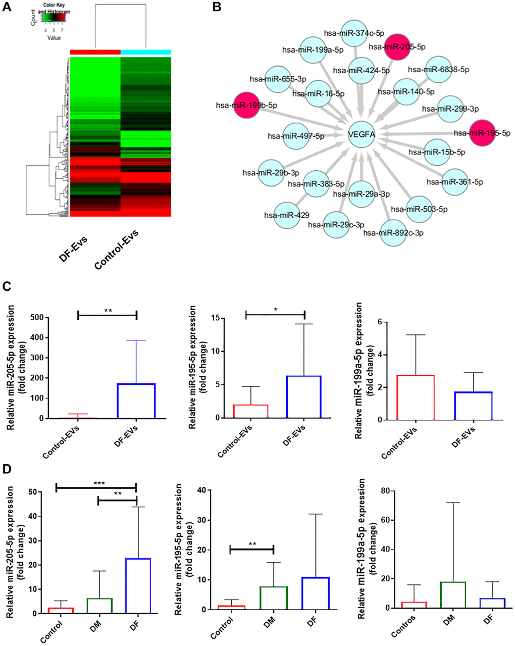 MiRNA expression of DF-EVs. (A) Differential expression levels of miRNAs between Control-EVs and DF-EVs were presented in a heatmap. (B) MiRNA network predicted to target VEGFA using FunRich software. (C) Expression levels of candidate miRNAs in DF-EVs were quantitated by qRT-PCR. (D) Candidate miRNAs were detected in sera of nondiabetic patients and diabetic patients with or without foot ulcers. *P **P ***P 