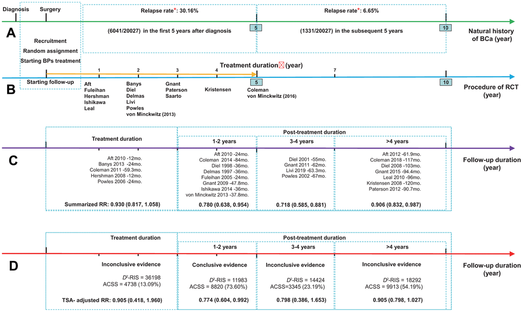 Summarized results for the longevity of the effect of bisphosphonates on breast cancer survival. (A) The natural history of breast cancer after diagnosis, presented as green arrow; (B) The procedure of RCT presented as blue arrow, and golden arrow represents the duration of adjuvant treatment with bisphosphonates; (C) The results from conventional subgroup analyses by follow-up duration; (D) The results from trial sequential analyses of each subgroup by follow-up duration. *Data regarding the relapse rate of breast cancer were obtained from the Surveillance, Epidemiology, and End Results (SEER) program of the National Cancer Institute (Cheng et al. 2012). Abbreviations: ACSS, the actually cumulative sample size; BCa, breast cancer; BPs, bisphosphonates; D2-RIS, the diversity adjusted required information size; RCT, randomized controlled trial; RR, hazard ratio; TSA, trial sequential analysis.