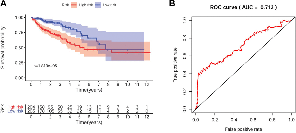 The survival curve and receiver operating characteristic (ROC) curve of RSM. Kaplan-Meier survival curve of OS in the high-risk group and the low-risk group (A). The high-risk group showed the poor prognoses in the CRC patients based on TCGA database. The ROC curve relevance the accuracy of the RSM (B) and the area under curve (AUC) was 0.713 based on TCGA database.