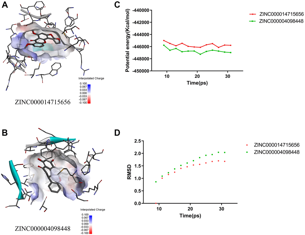 (A) The charge between the ZINC000014715656–3HHM surface. (B) The charge between the ZINC000004098448–3HHM surface. (C) Potential energy of ZINC000004098448 and ZINC000014715656, with average root-mean-square deviation. (D) RMSD of ZINC000004098448 and ZINC000014715656.