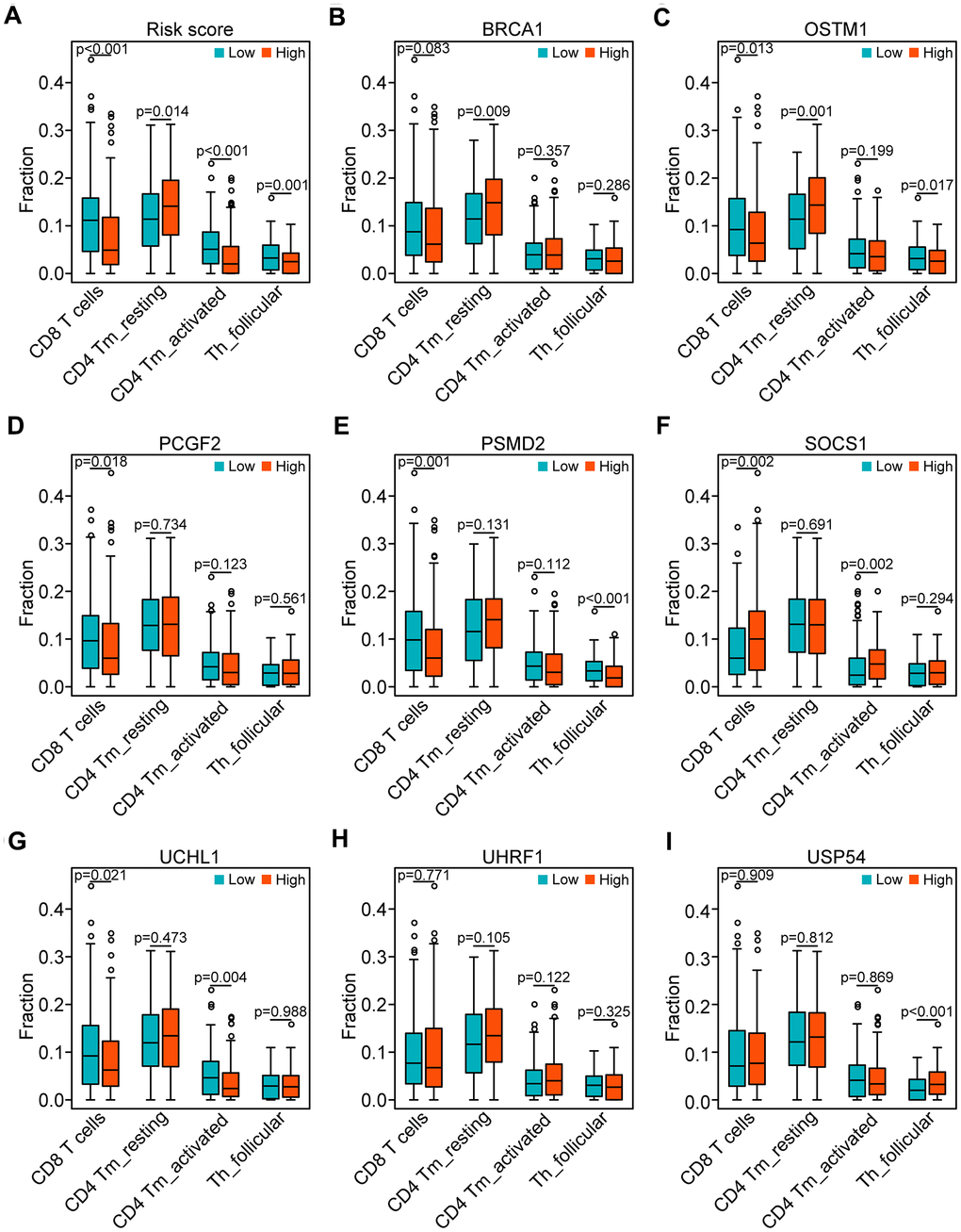 Correlation of the genes of the risk model with the four subpopulations of T cells. (A) Comparison of the four subpopulations of T cells (CD8 T cells, CD4 memory activated T cells, and follicular helper T cells) between the high- and low-risk groups. (B–I) Distribution of the four T cell subpopulations based on the high and low expression of BRCA1, OSTM1, PCGF2, PSMD2, SOCS1, UCHL1, UHRF1, and USP54, respectively.