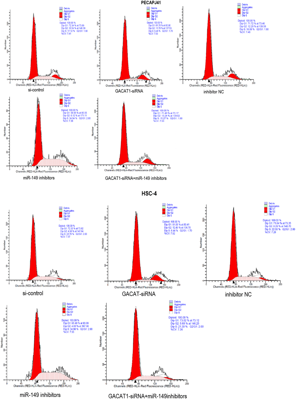 Effects of si-control, GACAT1-siRNA, inhibitor NC and miR-149 inhibitors respectively or in combination on the cell cycle of OSCC.**p 