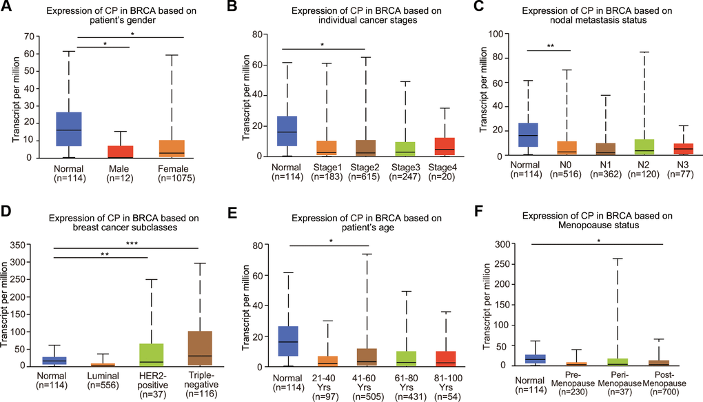 Relationship between ceruloplasmin mRNA expression and clinicopathological features of BRCA patients. Ceruloplasmin expression was estimated in BRCA patients according to (A) sex, (B) different cancer stages, (C) different nodal metastasis statuses, (D) major BRCA subclasses, (E) age and (F) menopausal status. *