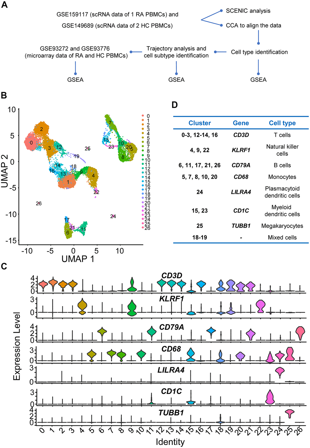 Study design and preliminary analysis. (A) Workflow of scRNA sequencing and microarray data analysis. Step 1: We first downloaded individual rheumatoid arthritis (RA) and healthy control (HC) peripheral blood mononuclear cell (PBMC) scRNA sequencing data (GSE159117 and GSE149689) from the Gene Expression Omnibus (GEO) database (https://www.ncbi.nlm.nih.gov/geo/). To eliminate the potential batch effects, canonical correlation analysis (CCA) was performed to integrate the two datasets. Afterwards, four main immune cell types (T cells, B cells, NK cells and monocytes) in PBMCs were identified. Then, we explored the up- and downregulated genes and gene sets using differential gene expression analysis and gene set enrichment analysis (GSEA). Subsequently, four main immune cell subtypes were identified using Monocle2, and up- and downregulated interferon (IFN)-related genes and gene sets in different immune cell subtypes were also identified. Step 2: Key transcription factors were identified, and gene regulatory networks (GRNs) were constructed using Single-Cell rEgulatory Network Inference and Clustering (SCENIC) analysis. Step 3: We downloaded microarray datasets including multiple RA and HC PBMC samples and explored the up- and downregulated IFN-related genes and gene sets. (B) Two-dimensional uniform manifold approximation and projection (UMAP) visualization of cell clusters. Cells were colored by clusters. (C) Violin plots of selected marker genes to identify cell classifications and their expression levels in each cell cluster. (D) The table of correspondence between cell clusters and cell types.