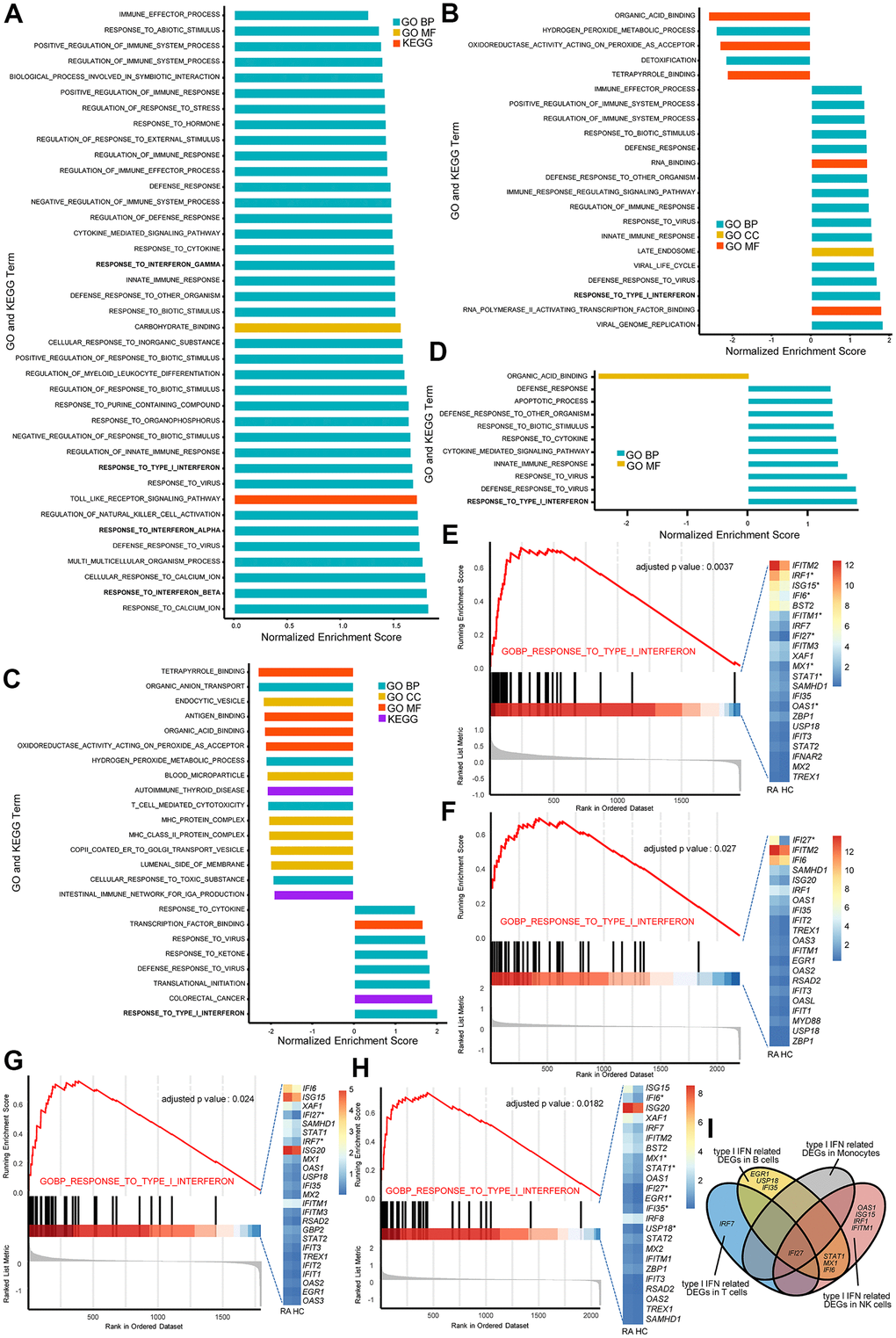 The type I interferon (IFN) signaling pathway is activated in natural killer (NK) cells, monocytes, and T and B cells in rheumatoid arthritis (RA). All GSEA bar plots of NK cells (A), monocytes (B), T cells (C) and B cells (D) detected by single-cell RNA (scRNA) sequencing data. GSEA plots and Het maps showing the activated type I IFN signaling pathway and genes in NK cells (E), monocytes (F), T cells (G) and B cells (H) detected by scRNA sequencing data. Upregulated genes in RA are marked with an asterisk (*). All upregulated genes satisfied log2 (fold change)>0.25 and adjusted p-valueI) Venn diagram of upregulated type I IFN-stimulated genes in each immune cell type.