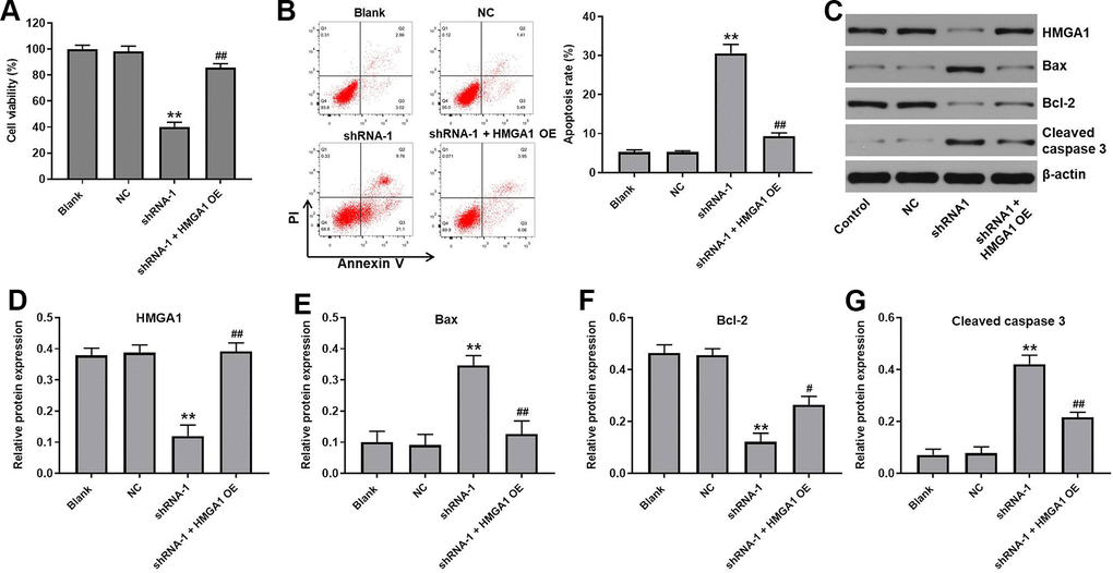 HMGA1 OE reversed the effect of hsa