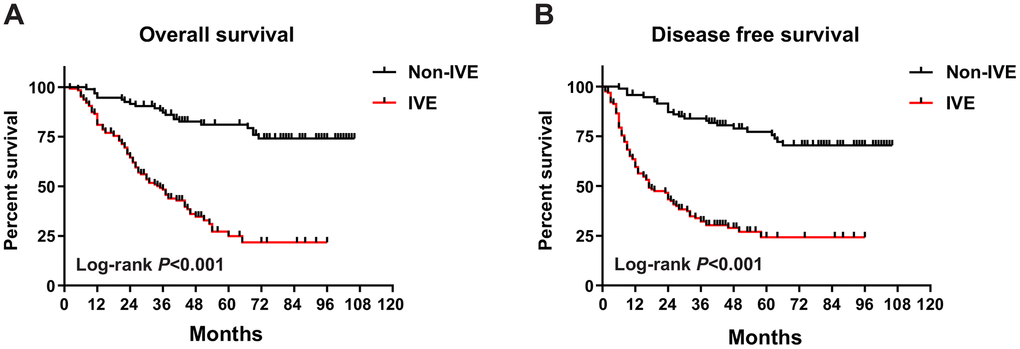 OS and DFS in IVE and non-IVE CRC patients. (A) IVE patients had worse OS compared with non-IVE patients; (B) IVE patients had worse DFS compared with non-IVE patients.