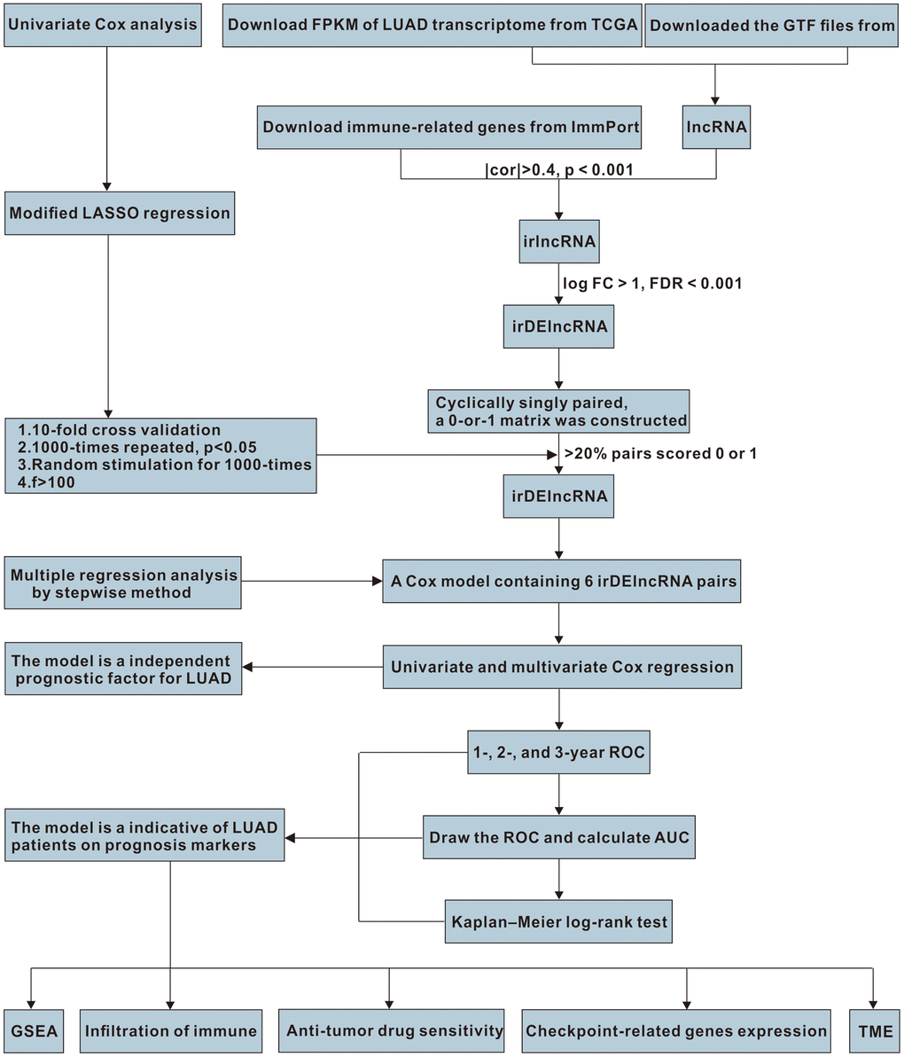 The work flowchart for the study.