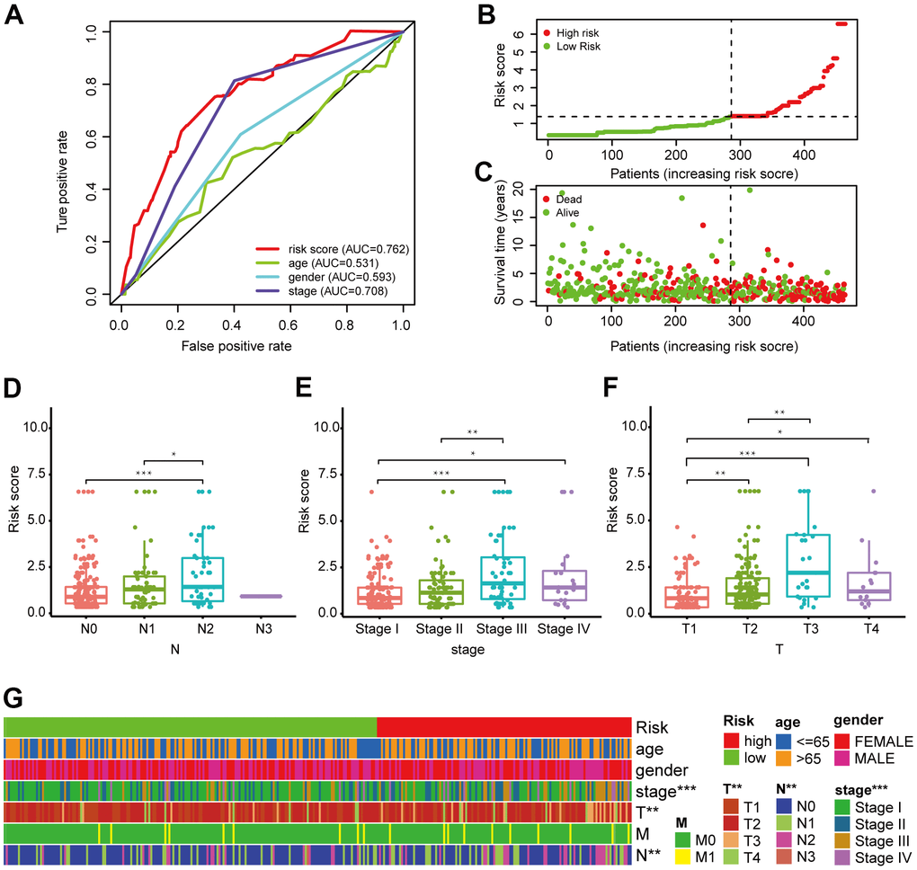 Validation of the 6-DEirlncRNA pair signature. (A) Calculation of the AUC for risk score, age, sex, and TNM stage shows that risk score is the maximum. (B, C) The risk curve (B) and scatter plot (C) indicates that patients with high risk score had worse survival. (D–G) Scatter diagrams and strip chart (G) show that N stage (D), clinical stage (E), and T stage (F) were significantly related to the risk score.