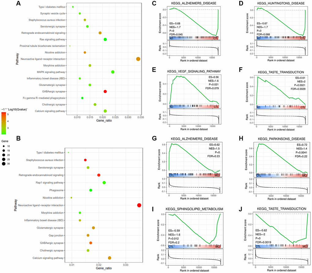 Identification of differentially regulated molecular pathways and m6A-related biological functions. (A, B) Functional annotation of the genes with different expression in frontal (A) and temporal (B) lobes using KEGG pathway. (C–J) Representative differentially regulated pathways are shown by analyzing blood samples. Pathways with increased activation included pathways indicative of Alzheimer's Disease (C) and VEGF signaling pathway (E), pathways with reduced activation included Huntington's Disease (D) and taste transduction (F) in AD group compared with CTL group; (G–J) Pathways with dysregulated activation in MCI group compared with CTL group.