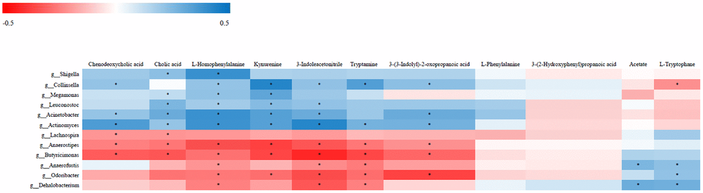 Correlative relationships between discriminatory gut microbiota and representative fecal metabolites. X-axis: fecal metabolites; Y-axis: genus; color scale represents Spearman’s correlation coefficient; red denotes strong negative correlations; blue denotes strong positive correlations; *P 