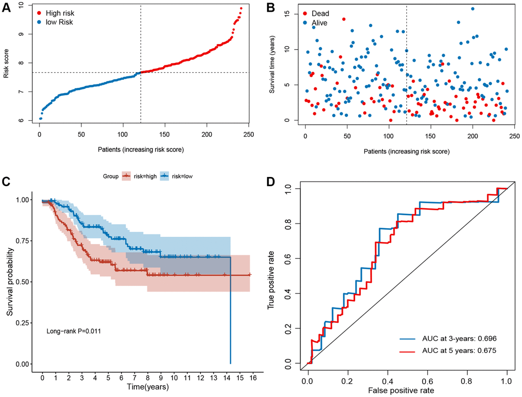 Evaluation of ferroptosis-related gene signature in GSE21653 dataset. (A) The ranked dot plot indicates the risk score distribution. (B) Scatter plot illustrating the patients’ survival status. (C) Kaplan-Meier method was used to plot the RFS curve for the high-risk and low-risk score groups. (D) ROC curve of the 10-FRG signature.