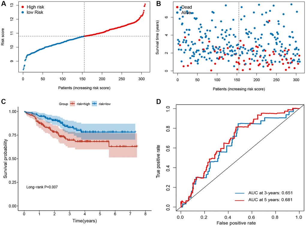 Evaluation of ferroptosis-related gene signature in GSE25066 dataset. (A) The ranked dot plot indicates the risk score distribution. (B) Scatter plot illustrates the patients’ survival status. (C) Kaplan-Meier method was used to plot the RFS curve for the high-risk score and low-risk score groups. (D) ROC curve of 10-FRG signature.