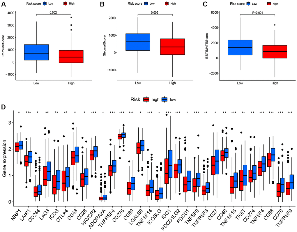 Correlation between the risk score, the TME score, and immune checkpoints. (A) immune scores. (B) stromal scores. (C) ESTIMATE scores. (D) immune checkpoints.