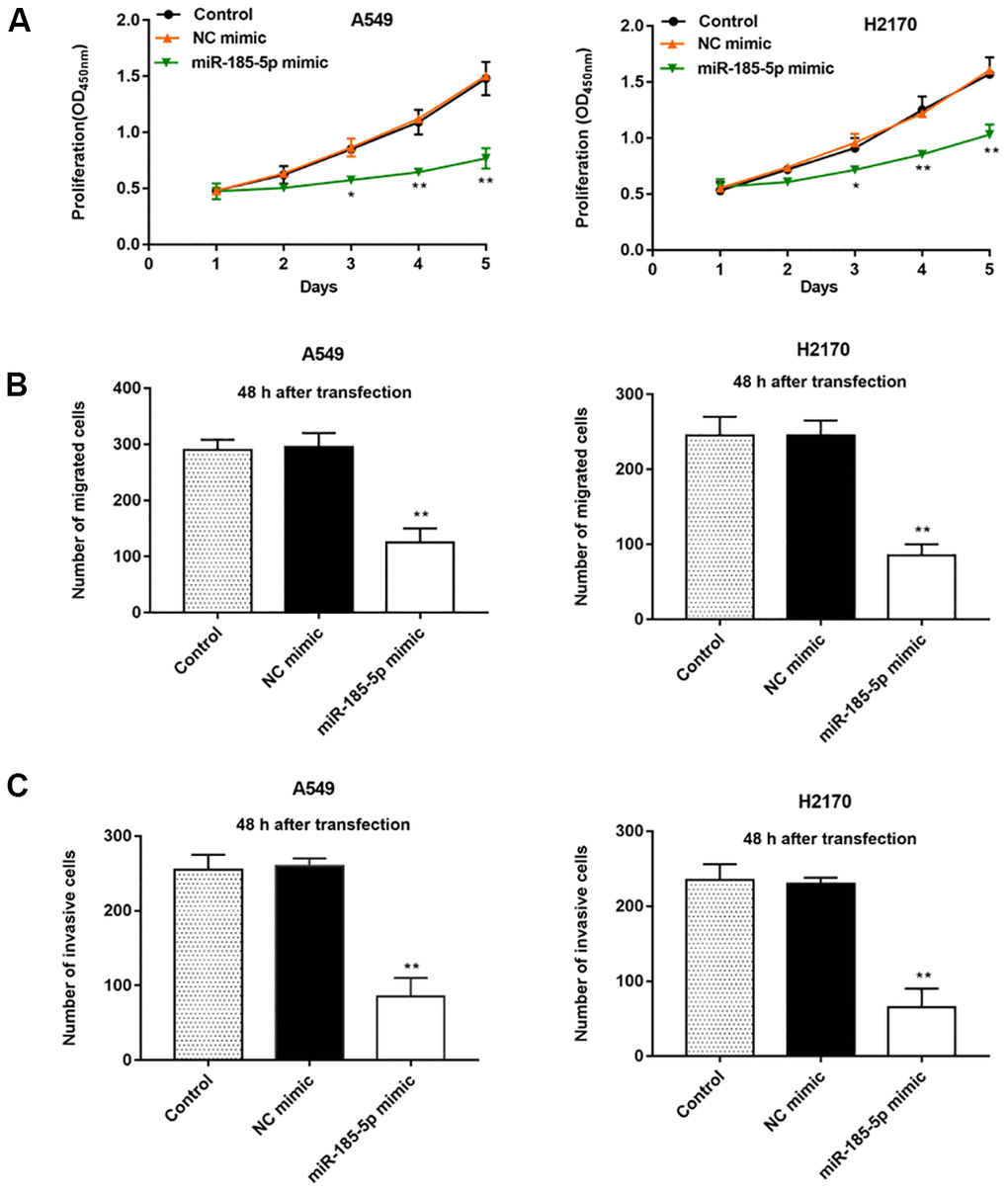 Overexpression of miR-185-5p inhibits proliferation, migration and invasion of NSCLC cells. The miR-185-5p mimic and NC mimic were transfected into A549 cells and H2170 cells, respectively. (A) The proliferation of A549 and H2170 cells was assessed by CCK-8 assay, and the results showed that miR-185-5p mimic inhibited cell proliferation. (B) The migration of A549 and H2170 cells was detected by Transwell cell migration assay, and the results showed that miR-185-5p mimic inhibited cell migration. (C) The invasion of A549 and H2170 cells was analyzed by Transwell cell invasion assay, and the results showed that miR-185-5p mimic inhibited cell invasion. N=6, * PP