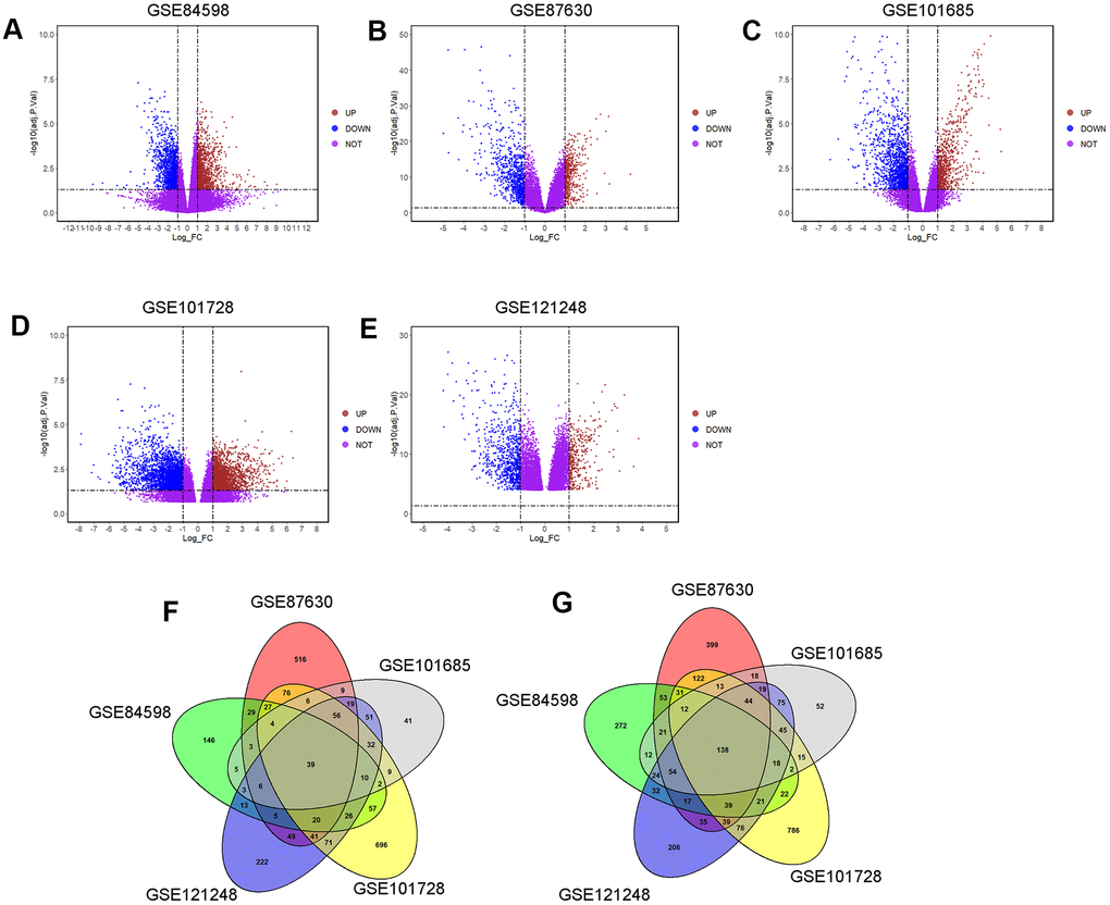 Identification of common DEGs among GSE84598, GSE87630, GSE101685, GSE101728 and GSE121248 microarray datasets. The DEGs in datasets: (A) GSE84598, (B) GSE87630, (C) GSE101685, (D) GSE101728 and (E) GSE121248 were visualized by the volcano plots. UP = up-regulated DEGs; DOWN= down-regulated DEGs; NOT = Not-significantly DEGs. (F) Venn diagram of the up-regulated common DEGs among the five datasets. A total of 39 up-regulated common DEGs was screened. (G) Venn diagram of the down-regulated common DEGs among the five datasets. A total of 138 down-regulated common DEGs was screened.