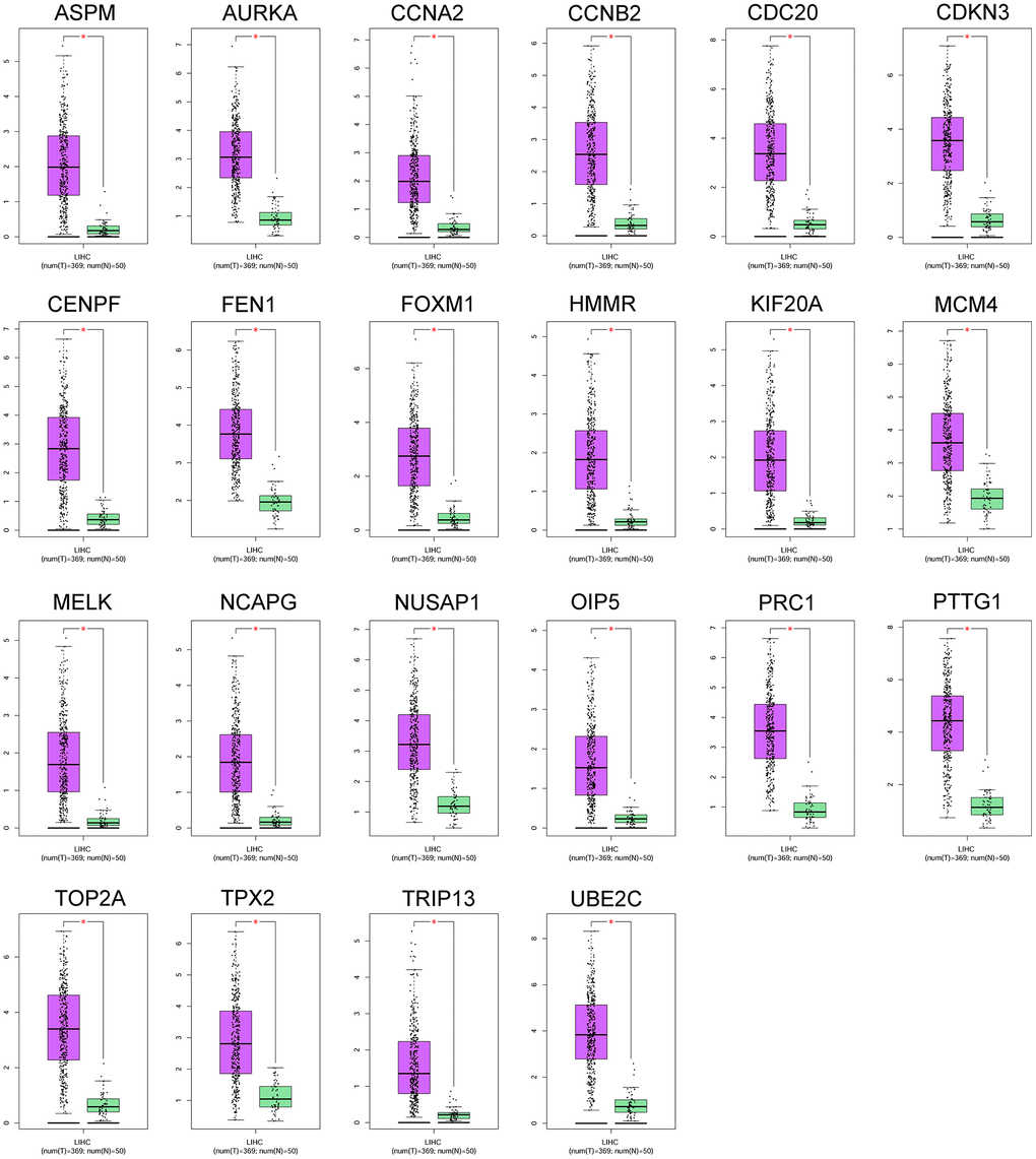 The mRNA expression of 22 hub genes between normal liver tissues and HCC tissues was analyzed by the GEPIA tool. The genes including ASPM, AURKA, CCNA2, CCBN2, CDC20, CDKN3, CENPF, FEN1, FOXM1, HMMR, KIF20A, MCM4, MELK, NCAPG, NUSAP1, OIP5, PRC1, PTTG1, TOP2A, TPX2, TRIP13 and UBE2C were analyzed. N = normal liver tissue group (n = 50); T = HCC tissues group (n = 369); *P