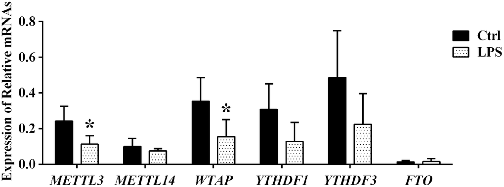 Expression analysis of m6A effector proteins by qPCR.