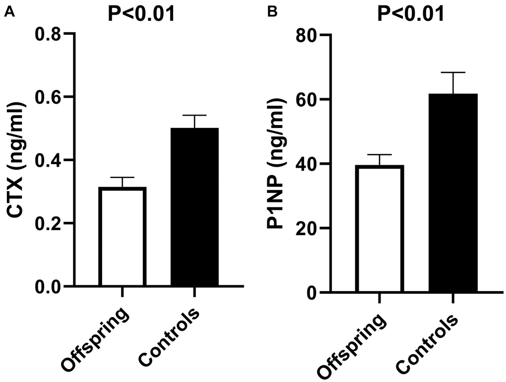 Bone resorption (CTX) and bone formation (P1NP) markers in offspring versus controls at baseline of rhTSH study. (A) Mean CTX at baseline of rhTSH study in offspring (n = 14) and controls (n = 12), p value B) Mean P1NP at baseline of rhTSH study in offspring (n = 14) and controls (n = 12), p value P value 