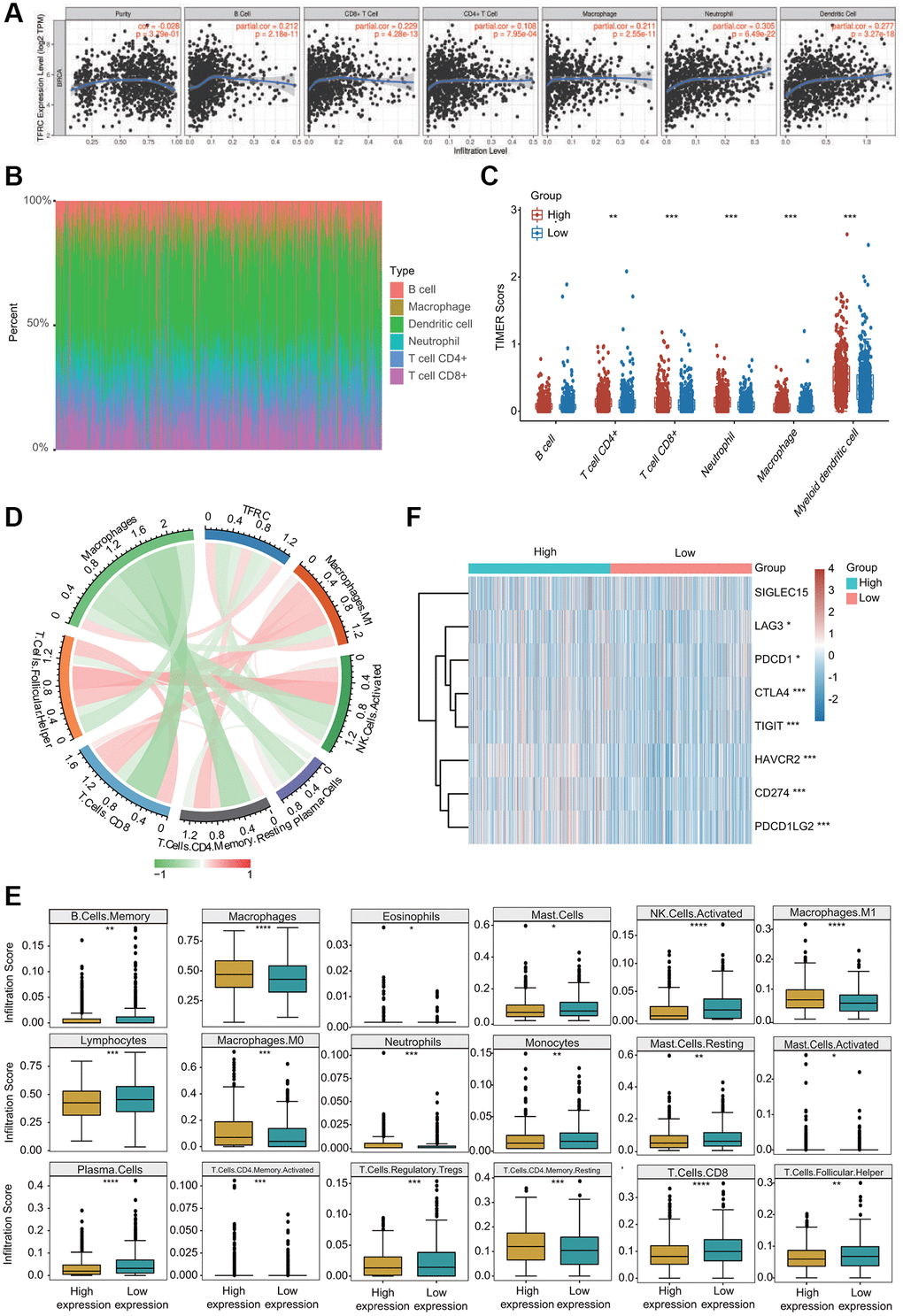 Association between TfR1 expression and infiltration abundances of diverse immune cells in BC. (A) TfR1 expression was significantly and positively correlated with the infiltration abundances of six types of immune cells in BC in the TIMER database. (B) Visualization of the infiltrating levels of multiple immune cells in the BC samples. (C) Comparison of the proportions of immune cells in the TfR1 high-expression and low-expression groups. (D) TfR1 expression was significantly associated with the infiltration abundances of diverse immune cells in BC using the CIBERSORT algorithm. (E) Correlations between TfR1 expression and the infiltration abundances of selected immune cells in BC through CIBERSORT algorithm. (F) The expression of various immune checkpoint genes between the TfR1 low-expression group and the high-expression group. *p **p ***p 