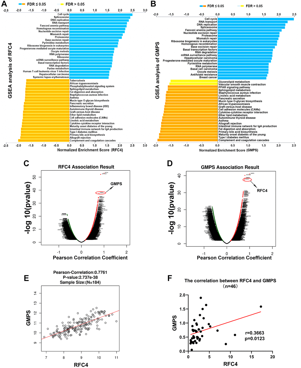 Exploration of the mechanism of RFC4 and GMPS based on GSEA and correlation analysis. (A, B) KEGG pathway analysis of RFC4 and GMPS based on GSEA. (C, D) Correlation coefficient analysis of RFC4 and GMPS in esophageal carcinoma. (E) Correlation between RFC4 and GMPS in TCGA. (F) Correlation between RFC4 and GMPS in 46 tumor samples. *p **p ***p 