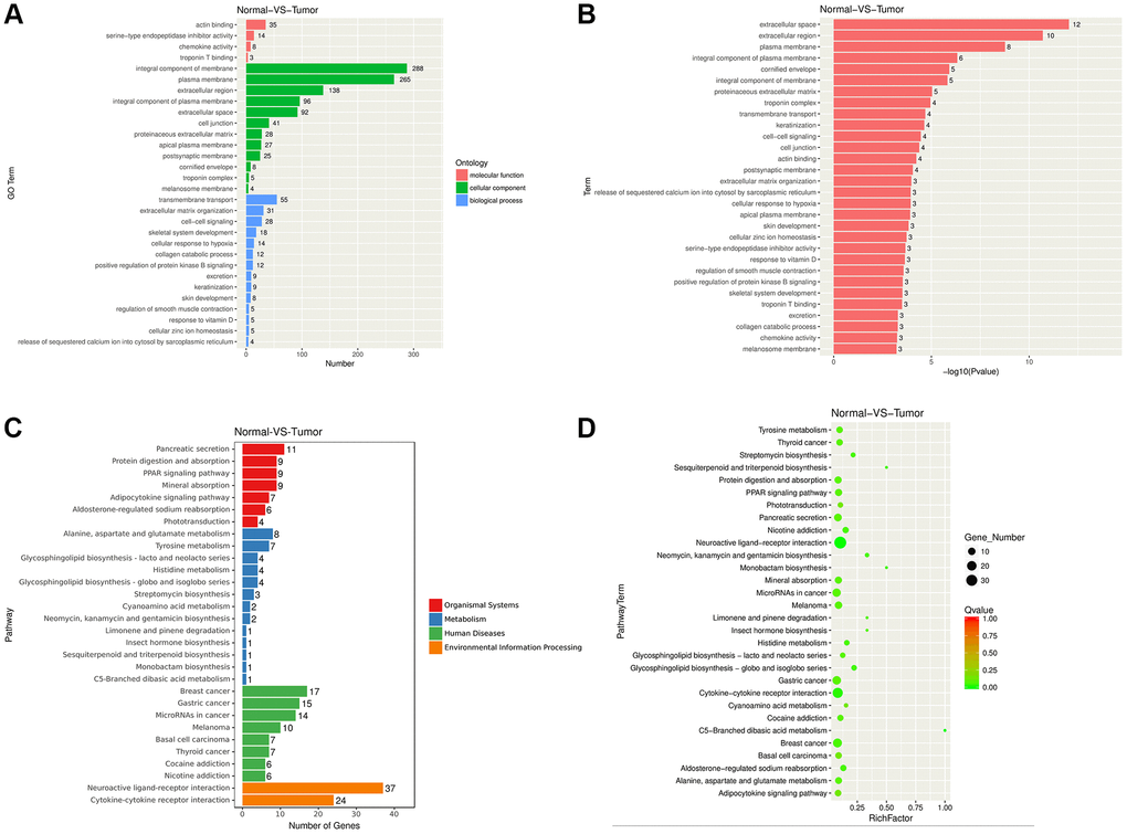 Functional enrichment of NPC related DEGs. (A–B) DEGs were enriched in GO terms. (C–D) DEGs were enriched in KEGG pathways.