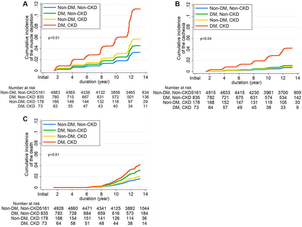 Cumulative incidence function for development of (A) Incident muscle depletion, (B) Cachexia, and (C) all-cause mortality according to diabetes mellitus and chronic kidney disease.