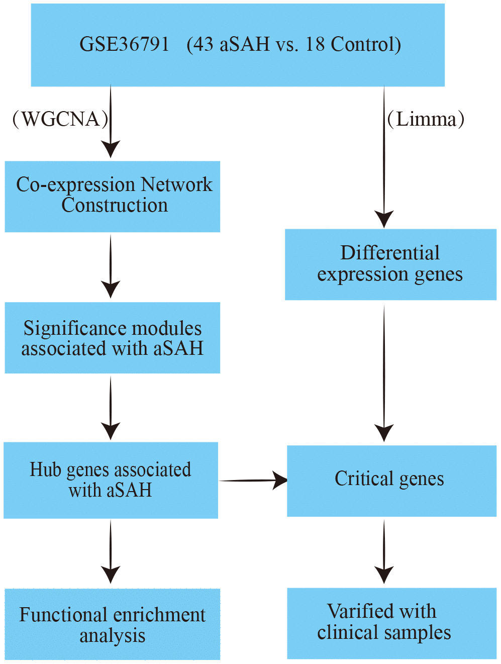 The workflow of this analysis.