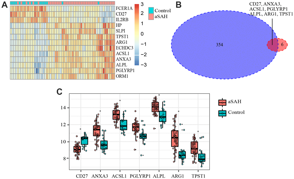 Differentially expressed genes (DEGs) and critical genes. (A) Heatmap of DEGs. (B) 7 critical genes were selected. (C) Expression of 7 critical genes in GSE36791.