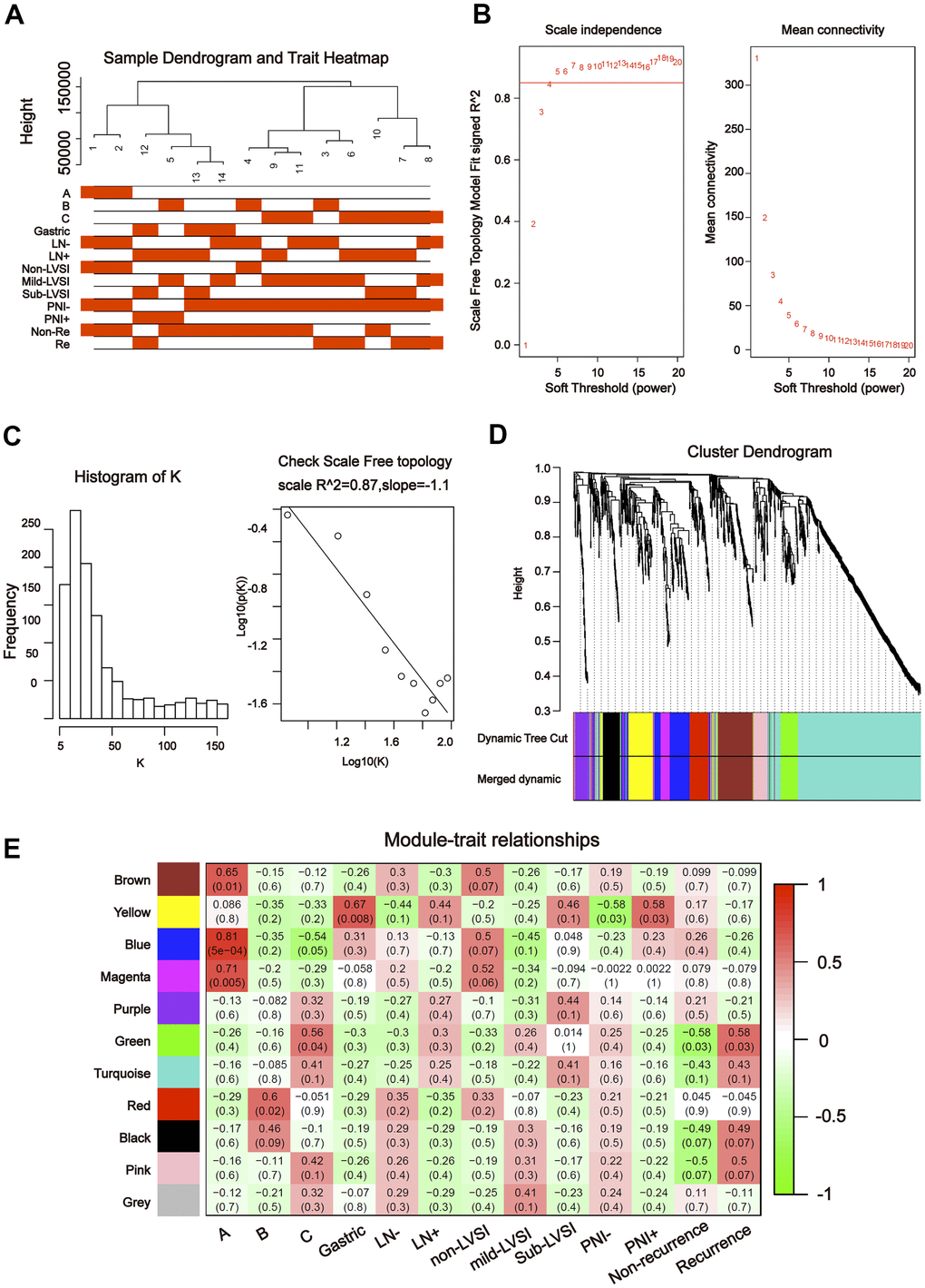 Construction of weighted gene co-expression network by analyzing of miRNA. (A) Sample dendrogram and clinical variable heatmap based on miRNA. (B) Determination of network topology from different soft-threshold powers. (C) Check scale-free topology. (D) Clustering dendrograms of identified co-expressed miRNAs in modules. (E) Heatmaps of the correlation between eigengene and clinical traits based on miRNA.