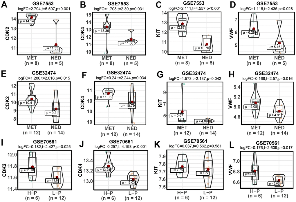 Expression and verification of key genes. (A–D) Violin plots of the expression levels of key genes in the GSE7553 dataset. (E–H) Violin plots of the expression levels of key genes in the GSE32474 dataset. (I–L) Violin plots of the expression levels of key genes in the GSE70561 dataset.