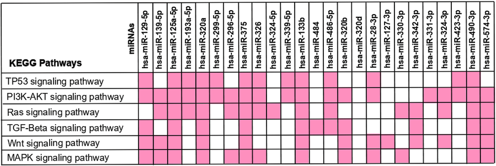 KEGG pathway analysis – interaction between the 25 differently expressed miRNAs and the frequently altered pathways in colorectal cancer. The 173 miRNA-target genes were used to perform the enrichment pathway analysis using KEEG at DAVID database. The miRNA-target genes found to be involved in CRC were crossed with the genes intervening in each signalling pathway in order to identify the miRNAs affecting each pathway. The miRNAs interaction with each KEGG Pathway is reported in pink.