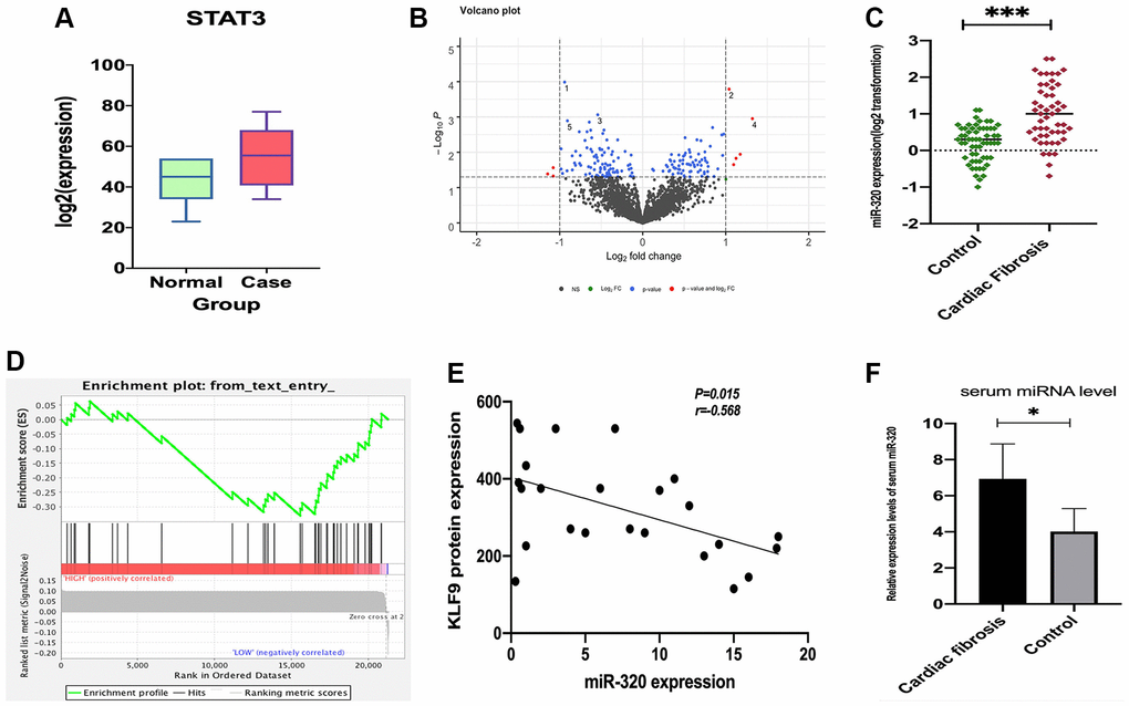 The expression of STAT3 in cardiomyocyte lines and miR-320 targeted-regulated STAT3. (A) The expression of STAT3 was low in standard samples (green) and high in case samples (red); P B) Different expressed miRNA volcano map of standard group and case group in GEO dataset; (C) Venn diagram of predicted upstream, down-regulated, differently expressed miRNA for STAT3; (D) A heat map depicting miR-320 was higher in the cardiac fibrosis group, as compared with the controls; (D) GSEA pathway enrichment analysis results of STAT3; (E) Correlation analysis found that miR-320 was negatively correlated with KLF9 protein expression in cardiac tissues. (F) The relative expression levels of serum miR-320 were significantly elevated in patients with cardiac fibrosis. P 