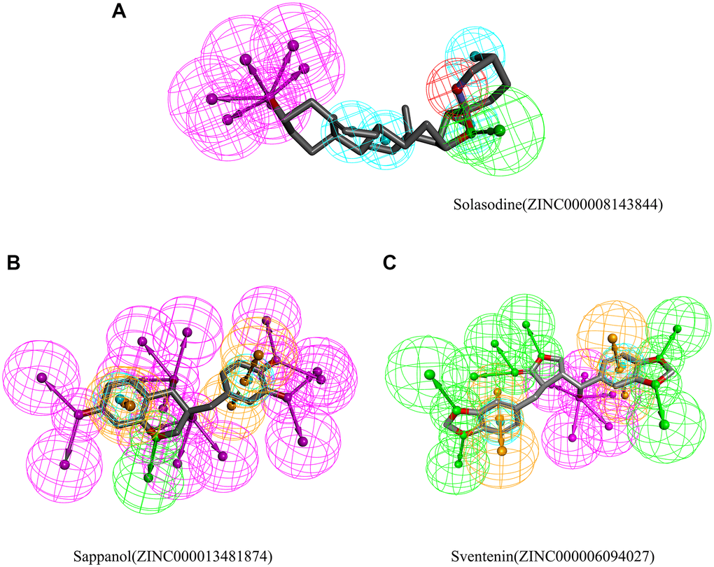 Results of the pharmacophore for (A) Solasodine (B) Sappanol (C) Sventenin.