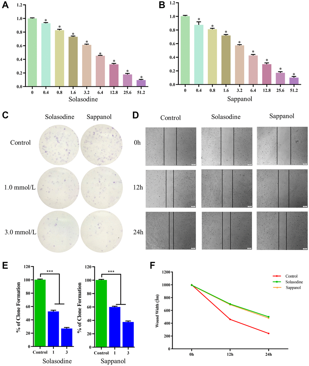 The 786-O cell viability following (A) solasodine and (B) sappanol treatments. (C) Clonogenicity in Petri dishes with various doses of solasodine and sappanol. (D) Scratch assay in control, solasodine, and sappanol groups. (E) The number of clones formed in the 786-O cell lines. (F) Wound width in control, solasodine, and sappanol groups.