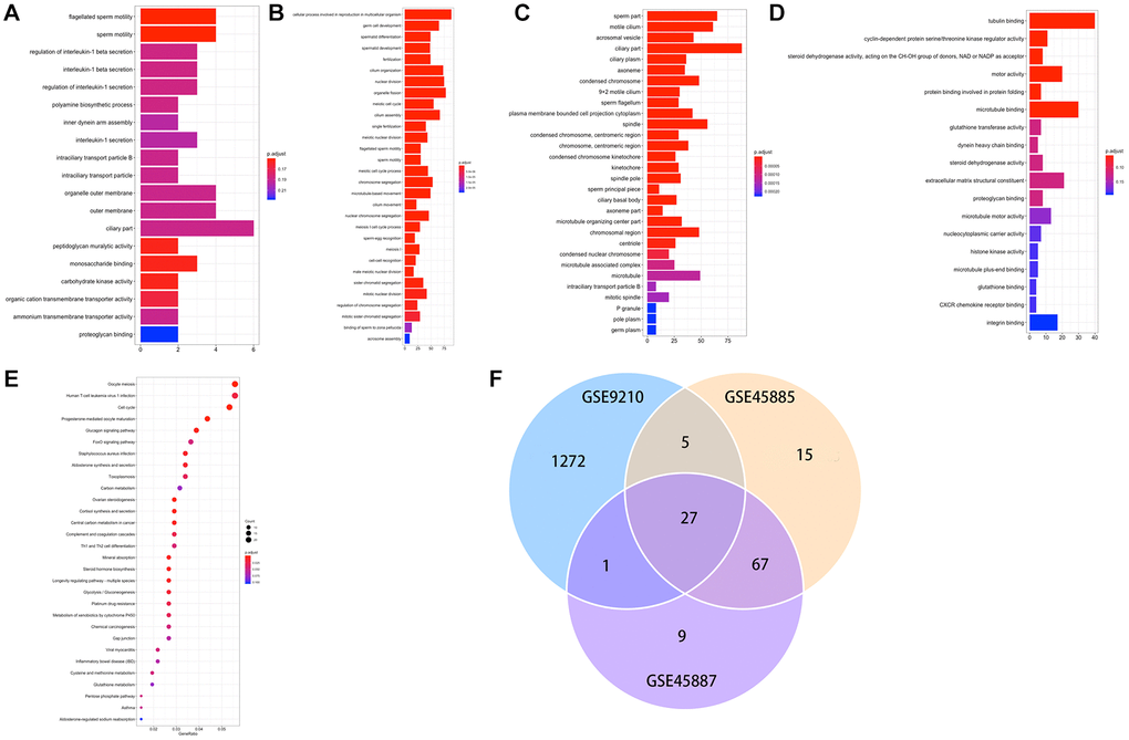 (A–E) GO and KEGG results of DEGs. GO, Gene Ontology; KEGG, Kyoto Encyclopedia of Genes and Genomes; (F) Venn plot of candidate hub genes commonly owned in GSE45885, GSE45887 and GSE9210.