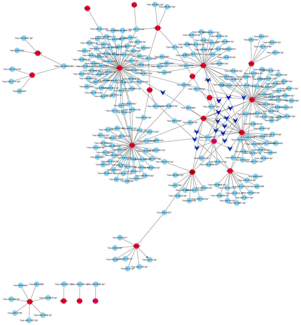 The transcriptional regulatory network of hub genes, miRNAs, and TFs. Abbreviations: miRNAs, microRNAs; TFs, transcription factors.