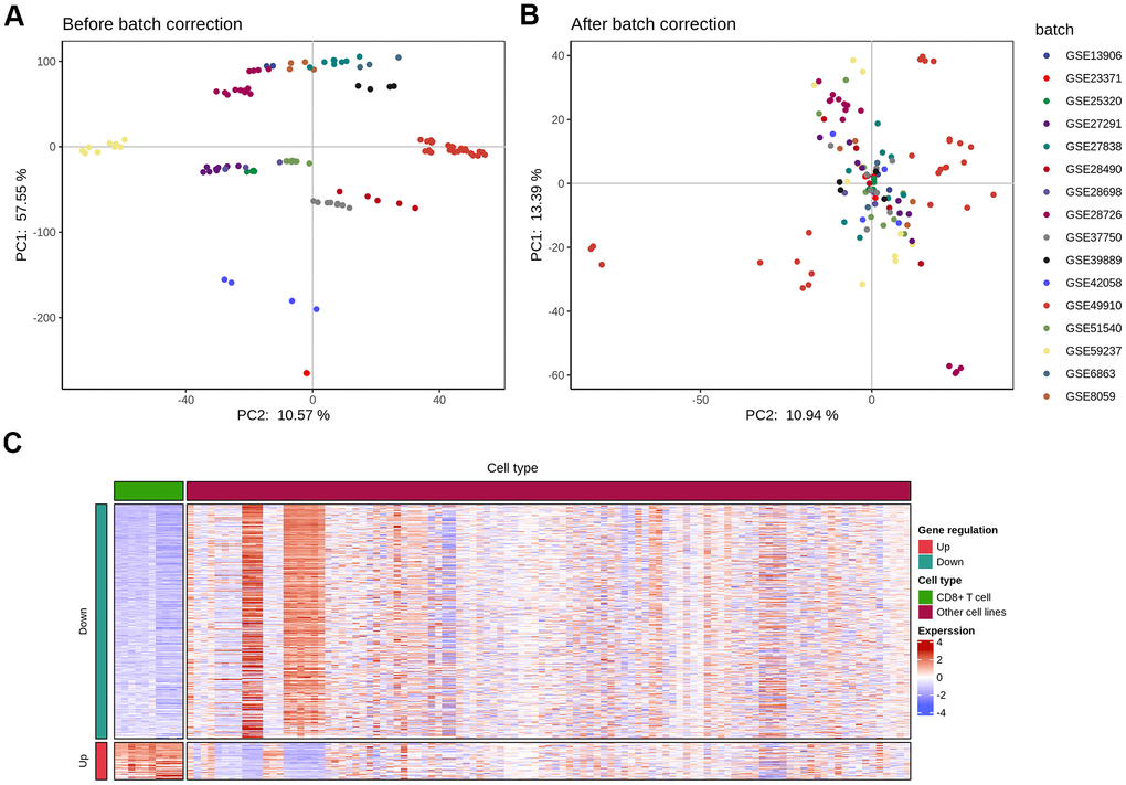 Elimination of inter-study bias in immune cell chip data. The batch effect correction of each chip was completed by the inSilicoMerging software package of Bioconductor. (A) Principal component analysis (PCA) analysis of each chip data before batch effect was removed; (B) PCA analysis of each chip data after the batch effect was removed; (C) The differential expression (|logFC|>1 and p