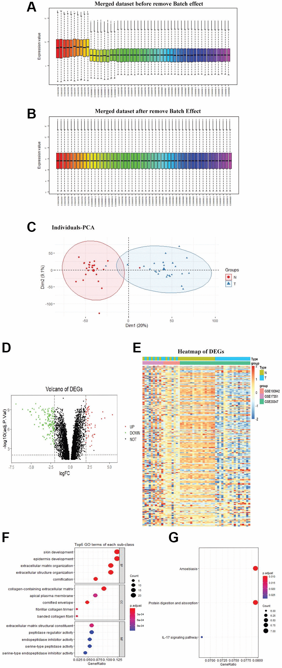 Identification of DEGs. The merged dataset before removed the batch effect (A). The merged dataset after removed the batch effect (B). PCA was done for the merged dataset for dimensionality reduction and quality control (C). Volcano plot of DEGs, the red dots represent the upregulated genes and the green dots represent the downregulated genes based on an adjusted P-value D). Heatmap of DEGs, red representing high relative expression, and blue representing low relative expression (E). DEGs with the top 5 enriched GO terms (F) of each subclass and KEGG (G) pathway enrichment analyses of DEGs (P 