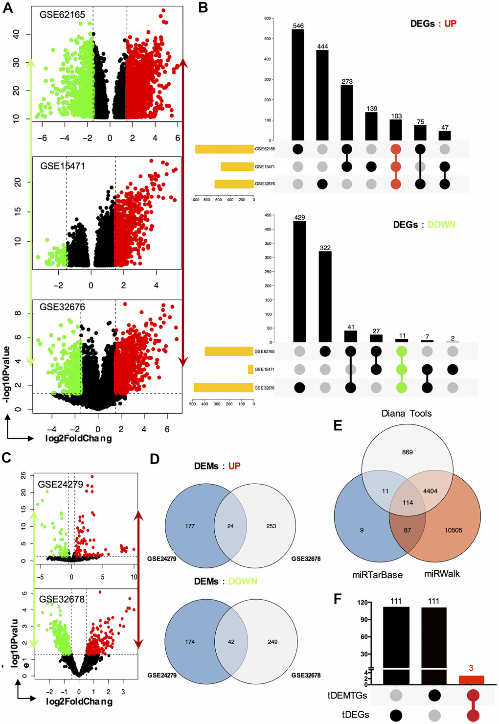 Identification of DEGs, DEMs and key genes. (A) The volcano plot of mRNA GEO datasets GSE62165, GSE15471 and GSE32676 respectively; (B) Venn diagram of up-regulated DEGs and down-regulated DEGs set from GSE62165, GSE15471 and GSE32676 datasets; (C) The volcano plot of miRNA GEO datasets GSE24279 and GSE32678 respectively; (D) Venn diagram of up-regulated DEMs and down-regulated DEMs set from GSE24279 and GSE32678 datasets; (E) The target genes, tDEMTGs, of 66 consistent DEMs (tDEMs) were predicted by miRTarBase, miRWalk and Diana Tools databases. (F) Venn diagram of tDEMTGs and tDEGs to get key genes.