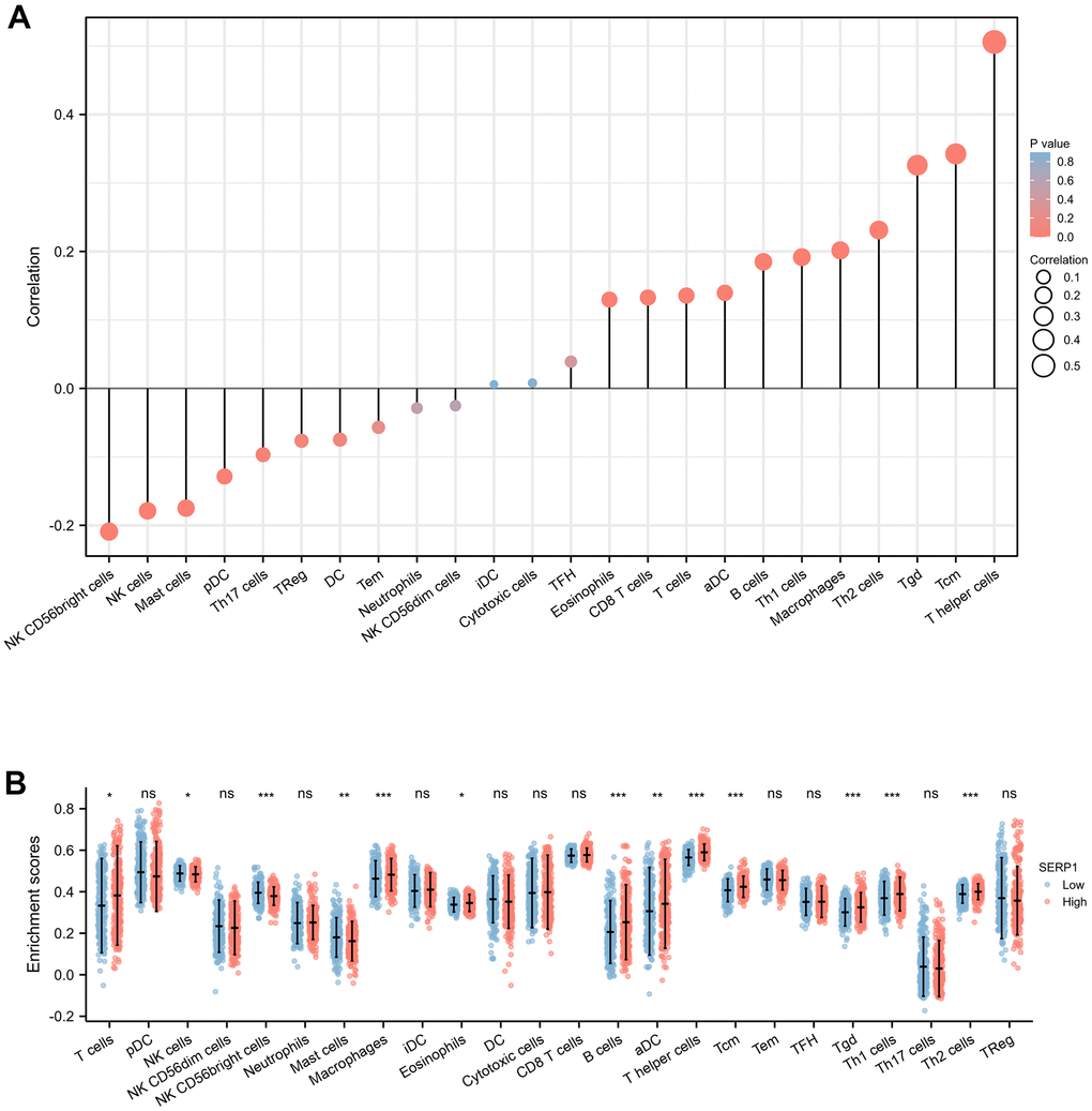 Associations of SERP1 expression and immune infiltration level in SKCM patients. (A) Correlation of SERP1 expression with immune infiltration level of 24 immune cell types by Spearman’s analysis. (B) Twenty-four types of immune cells are plotted according to different SERP1 expression levels.* ppp