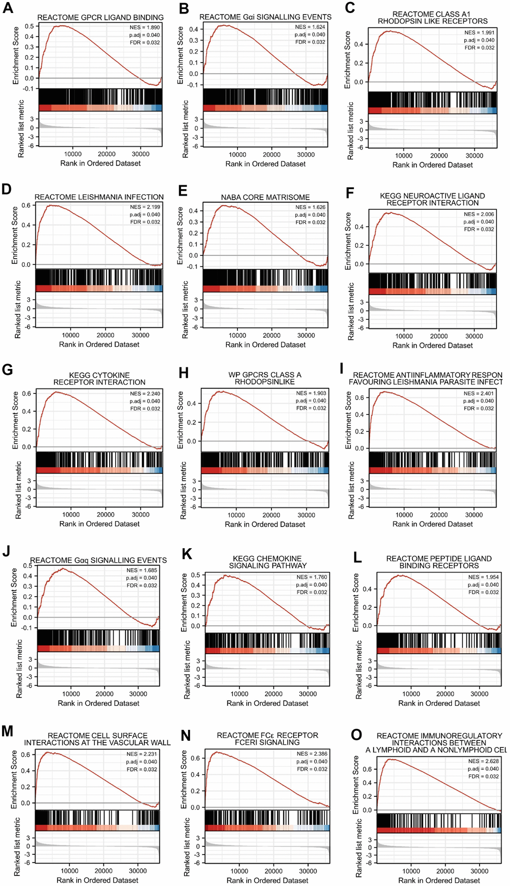 Top 15 enrichment plots of GSEA. The GSEA results showed that DEGs involved in (A) Reactome GPCR ligand binding, (B) Reactome G alpha i signalling events, (C) Reactome class a1 rhodopsin like receptors, (D) Reactome leishmania infection, (E) Naba core matrisome, (F) Kegg neuroactive ligand receptor interaction, (G) Kegg cytokine receptor interaction, (H) Wp GPCRs class a rhodopsin-like, (I) Reactome anti-inflammatory response favouring leishmania parasite infection, (J) Reactome G alpha q signalling events, (K) Kegg chemokine signaling pathway, (L) Reactome peptide ligand binding receptors, (M) Reactome cell surface interactions at the vascular wall, (N) Reactome FC epsilon receptor (FCERI) signaling and (O) Reactome immunoregulatory interactions between a lymphoid and a nonlymphoid cell.