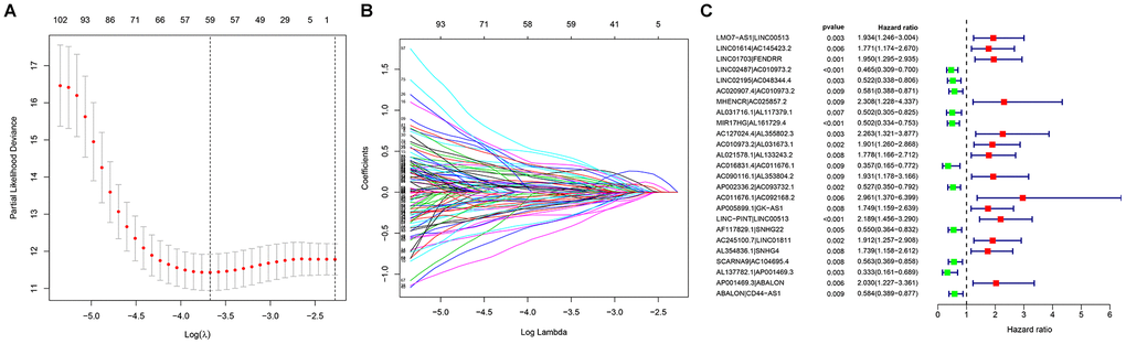 Establishment of a prognostic model based on (A, B) LASSO regression analysis; (C) Univariate Cox regression analysis.