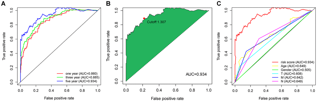 (A) The ROC curves for predicting the 1-, 3-, and 5-year OS; (B) identification of the maximum inflection point as the optimal cut-off value on the 5-year ROC curve; (C) comparison of the risk score model and clinicopathological characteristics in predicting the 5-year OS.