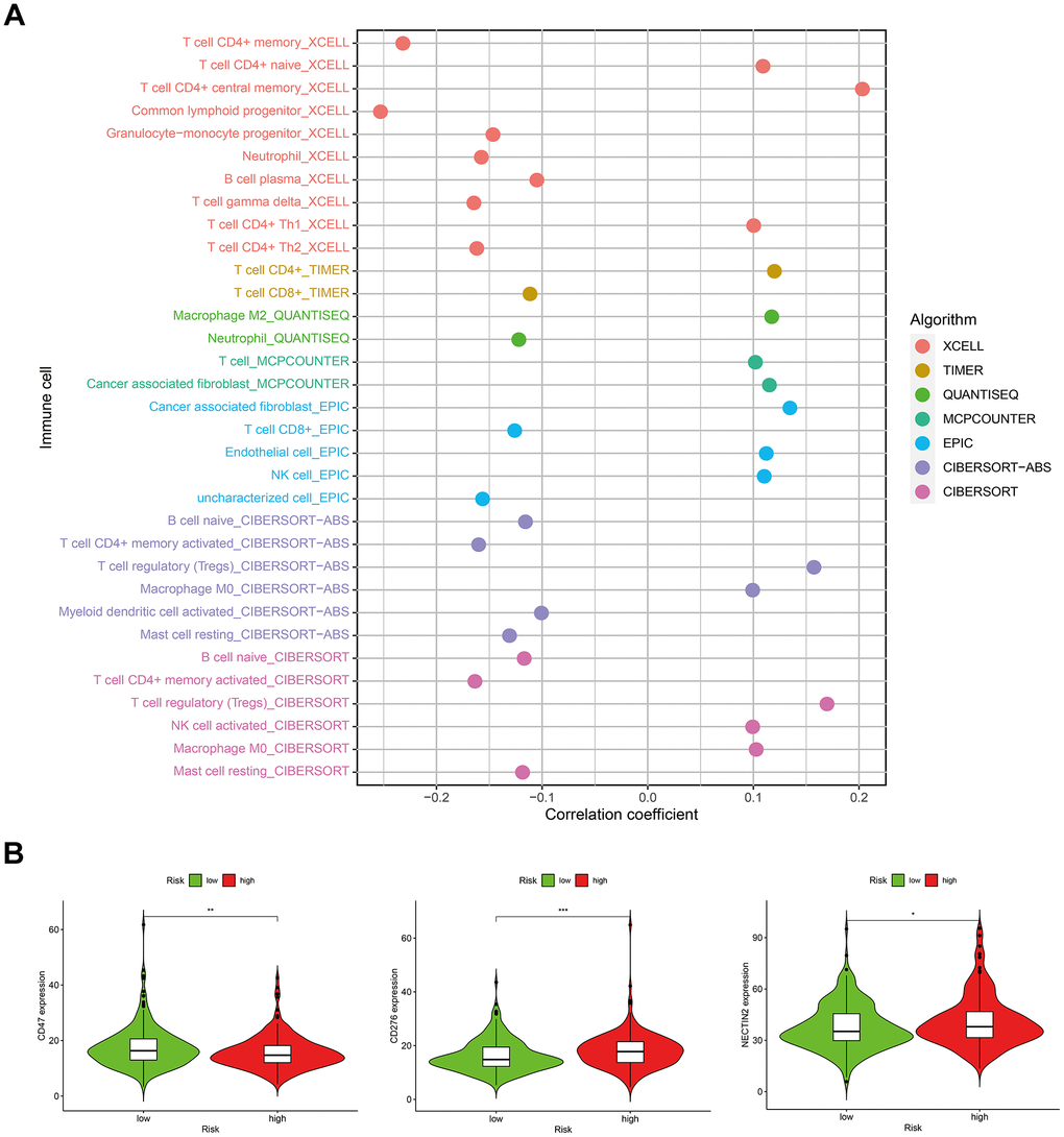 Correlations between the risk score model and (A) tumor-infiltrating immune cells; (B) immune checkpoint genes.