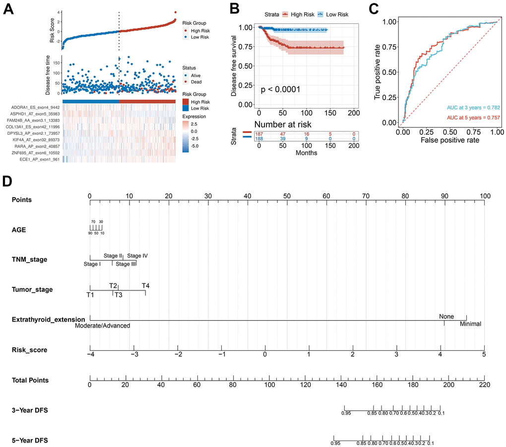 Selection of PTC feature genes and construction of a prognosis model. (A) Identification capability of the prognostic model of the low-risk and high-risk groups. (B) Kaplan-Meier curves of prognostic model for DFS of PTC patients. (C) ROC curves of prognostic model for the 3- and 5-year DFS of PTC patients. (D) Nomogram for predicting PTC patient’s 3- and 5-year DFS.