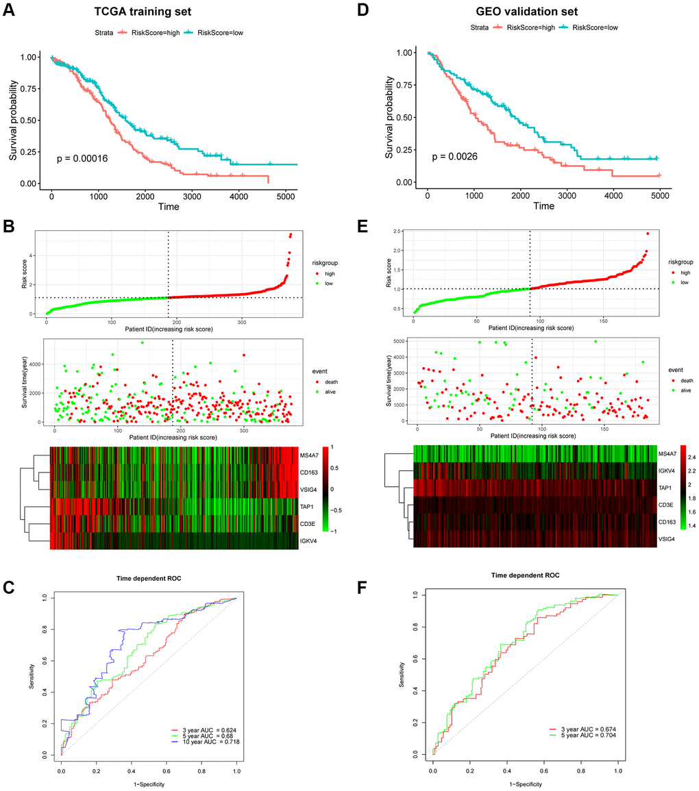 Prognostic analysis of the 6-gene signature in OC patients. Kaplan–Meier OS curve of low-risk and high-risk groups in the TCGA training dataset (A) and GEO validation dataset (D). Risk score distribution in TCGA (B) and GEO (E) datasets. Upper panel: The curve of risk score. Middle panel: patients’ overall survival status and time. Bottom panel: Heatmaps of gene expression profiles. ROC curve for OS prediction in the TCGA (C) and GEO (F) datasets.